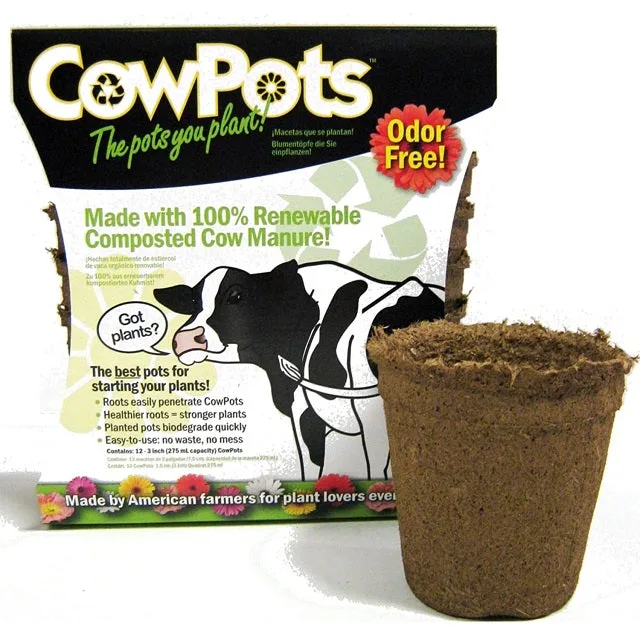 CowPots biodegradable seedling pot