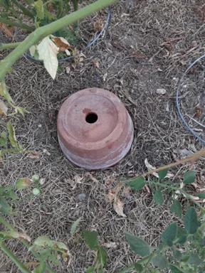 Gardeco Olla clay planter