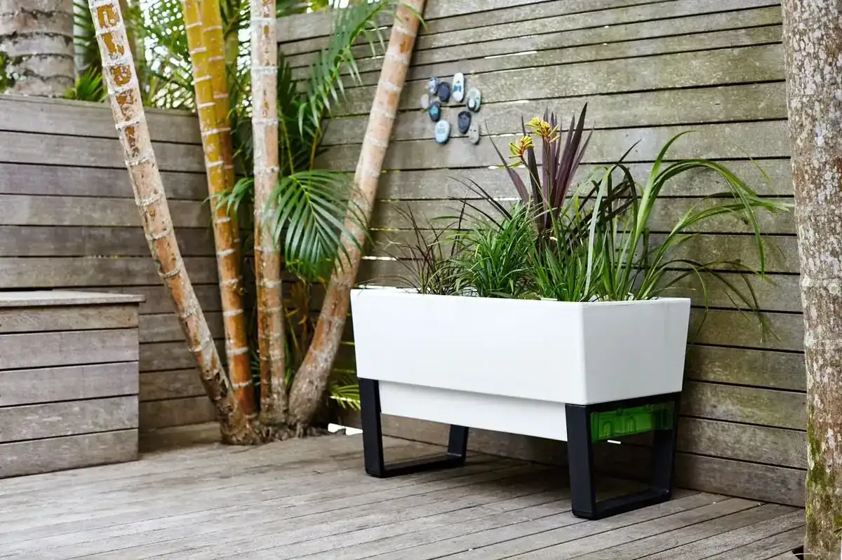 Glowpear Urban Garden self-watering planter image 2