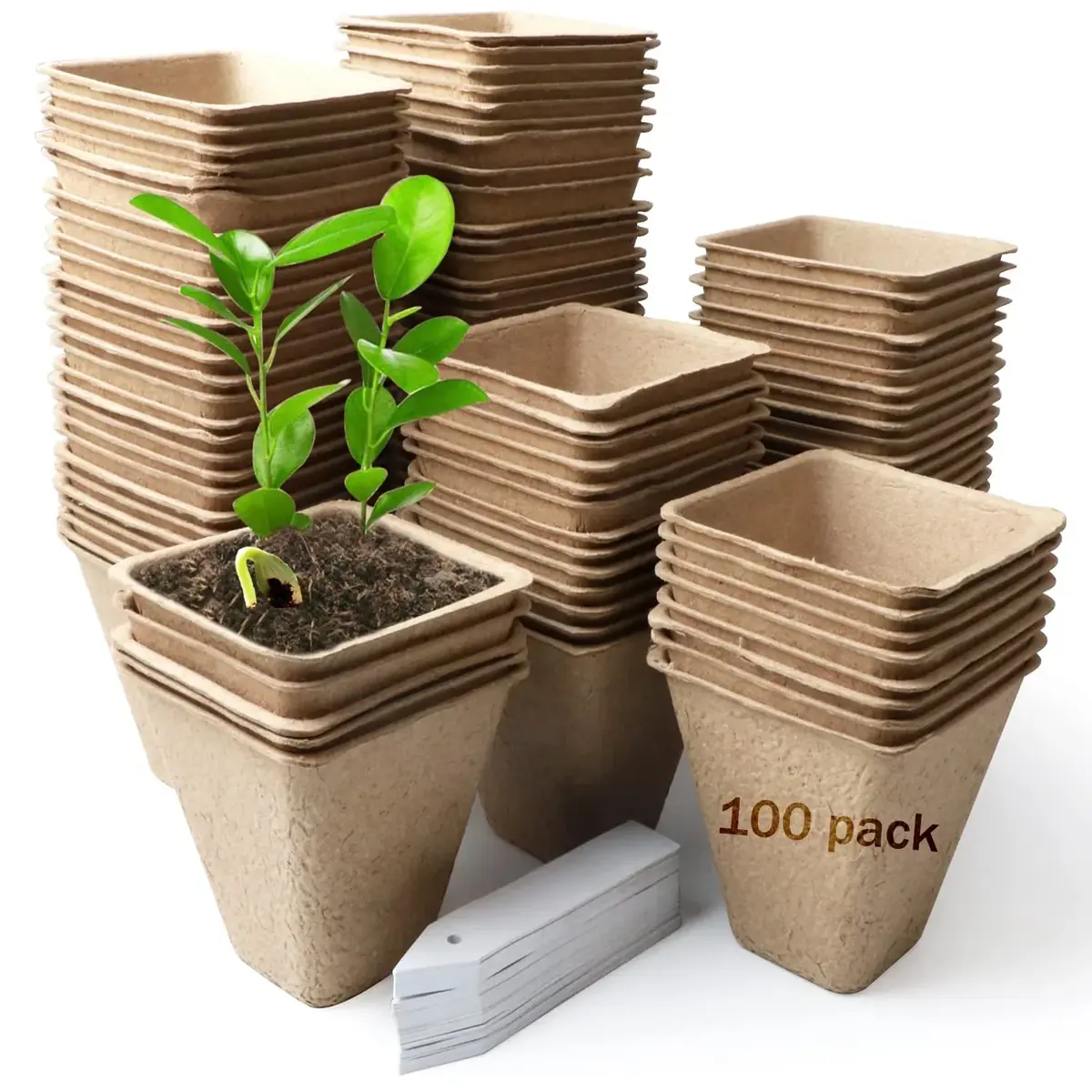 Jiffy biodegradable square pot tray
