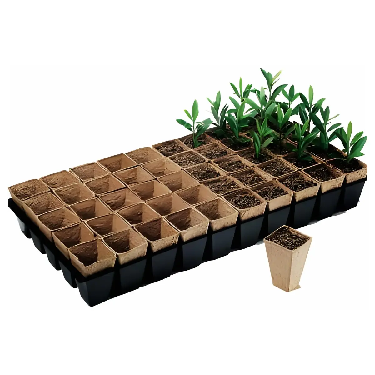 Jiffy biodegradable square pot tray image 3