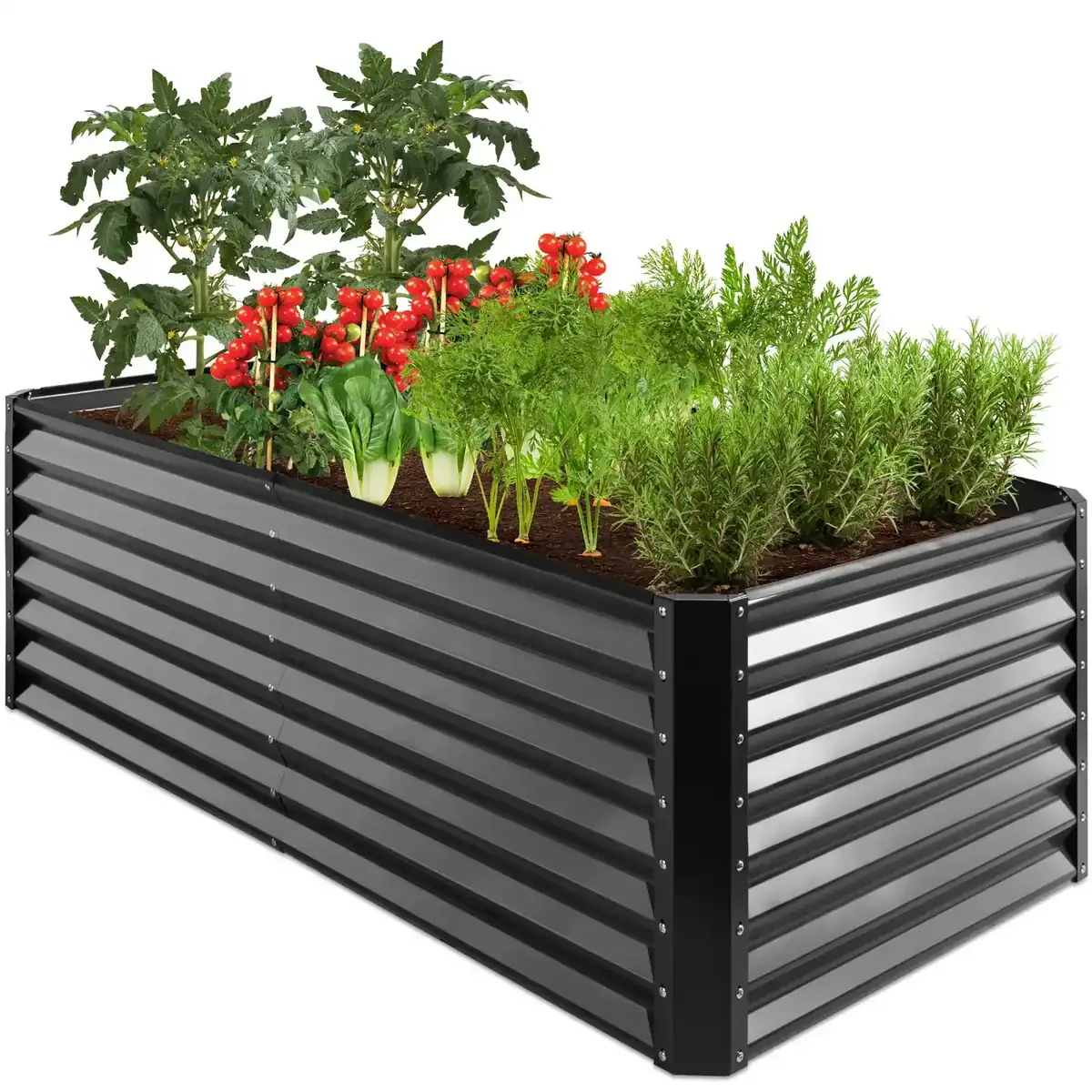 Keter Easy Grow raised bed image 2