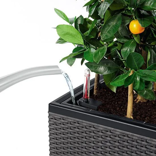 Lechuza Trio Cottage planter image 2