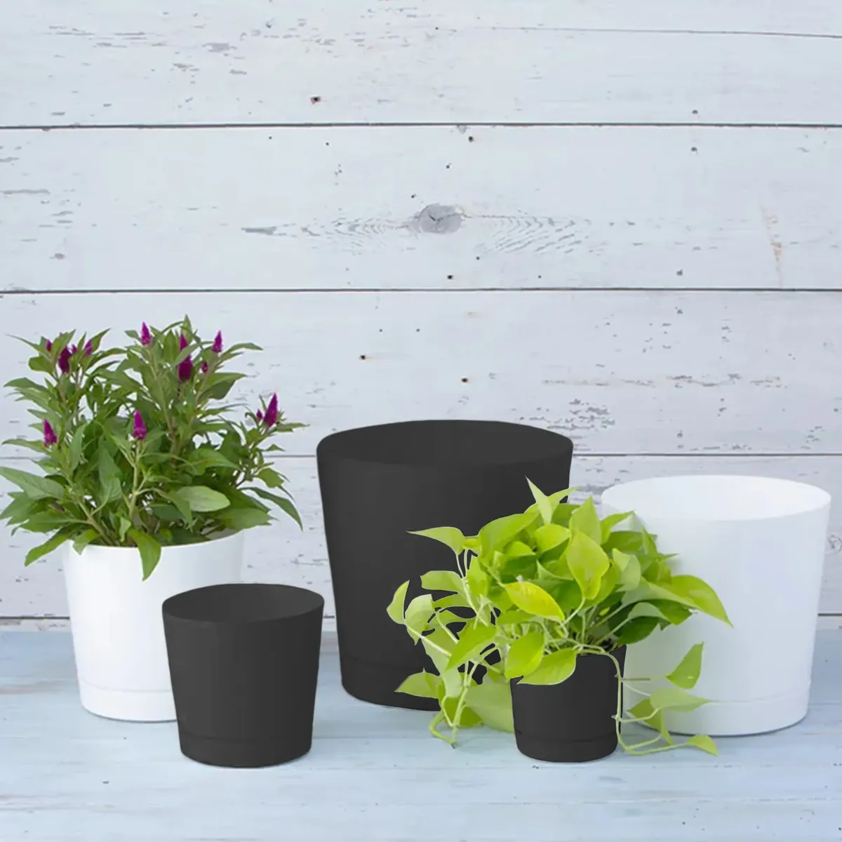 Novelty Cylinder terra pot image 2