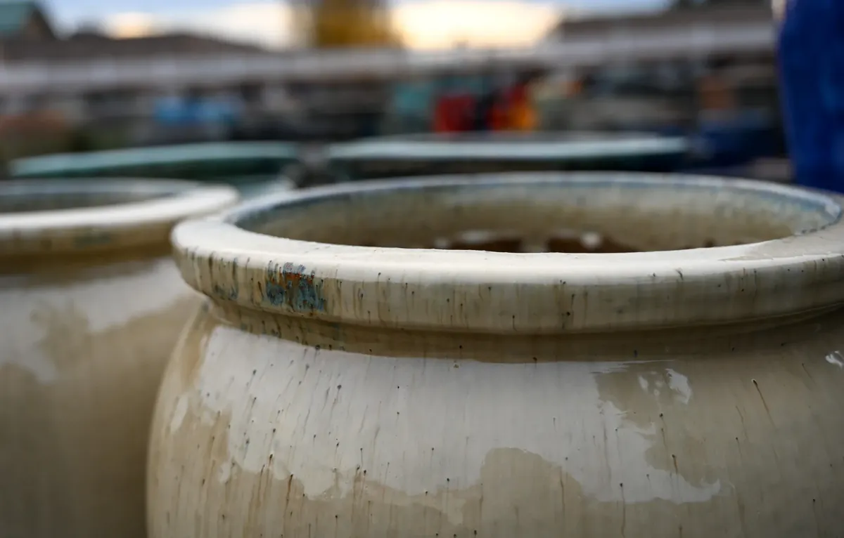 Pottery Pots Pacific bowl planter image 3